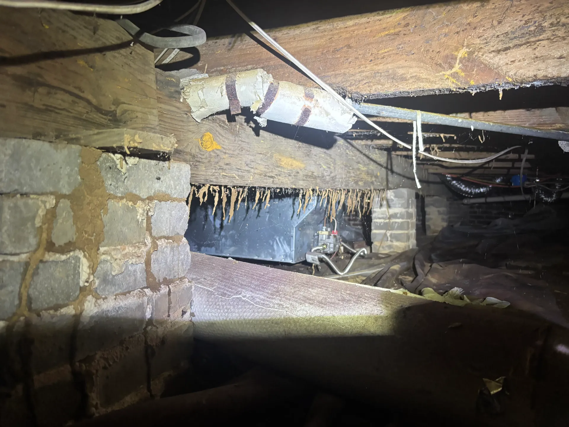 Termite shelter tubes at a Hoover, Alabama property. Termite shelter tubes at a Hoover, Alabama property.
