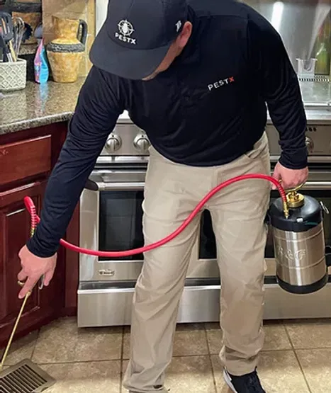 Interior pest treatment at a Trussville, Alabama home. Interior pest treatment at a Trussville, Alabama home.